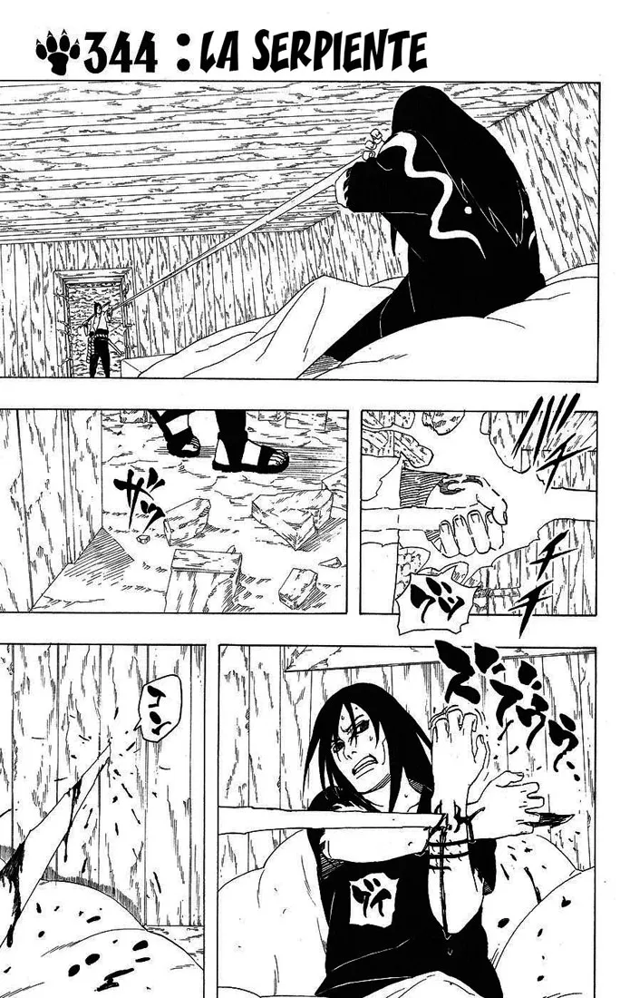 Naruto Capítulo 344 en Línea - página 1