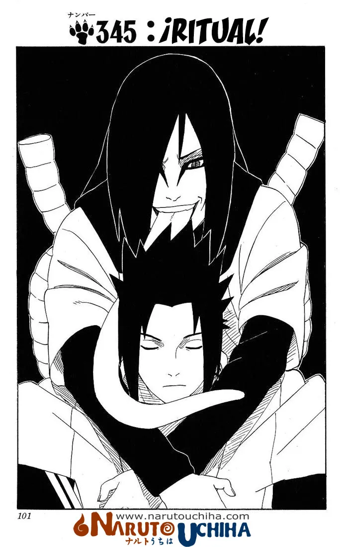 Naruto Capítulo 345 en Línea - página 1