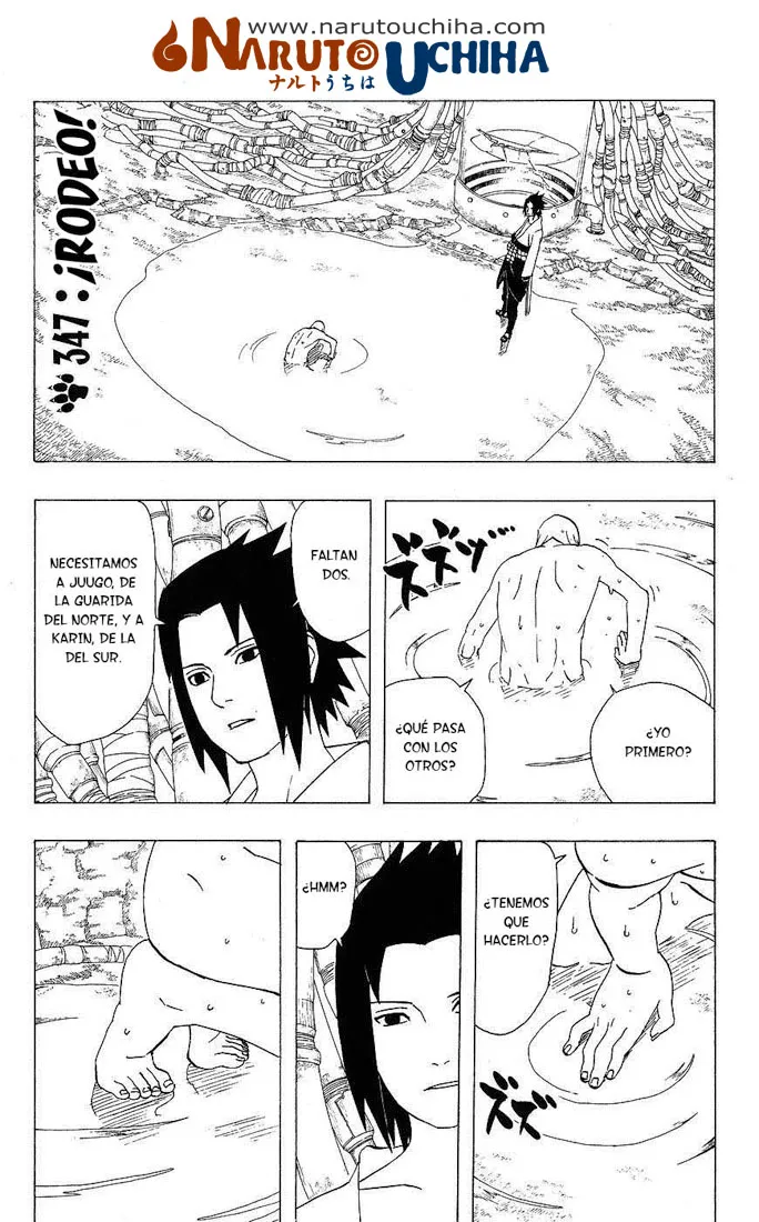Naruto Capítulo 347 en Línea - página 1