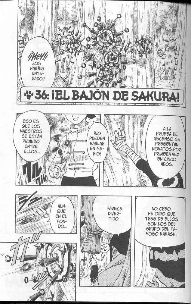 Naruto Capítulo 36 en Línea - página 1