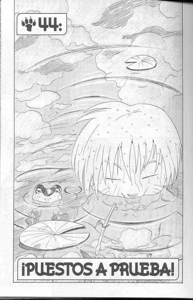 Naruto Capítulo 44 en Línea - página 1