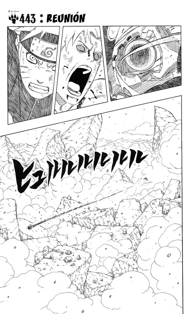 Naruto Capítulo 443 en Línea - página 1
