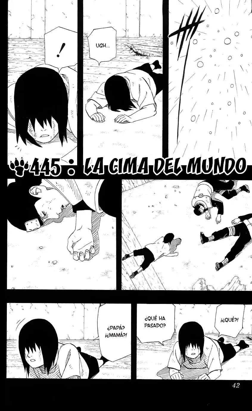 Naruto Capítulo 445 en Línea - página 1