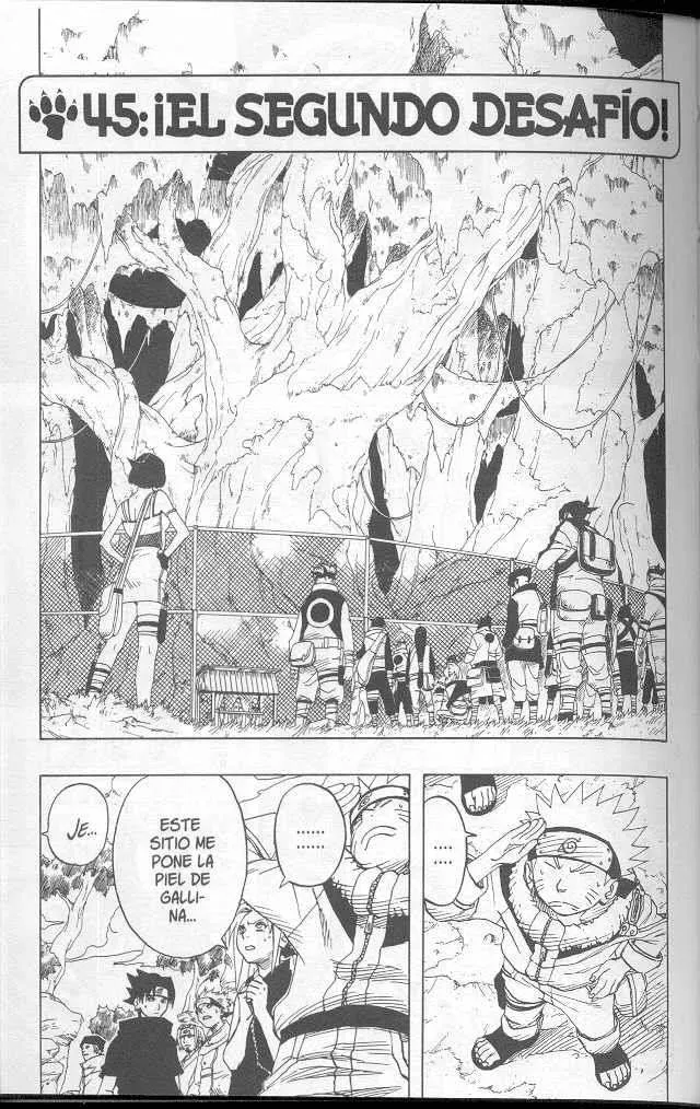 Naruto Capítulo 45 en Línea - página 1