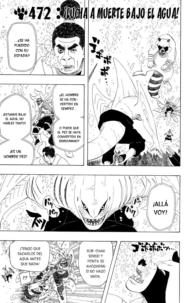 Naruto Capítulo 472 en Línea - página 1