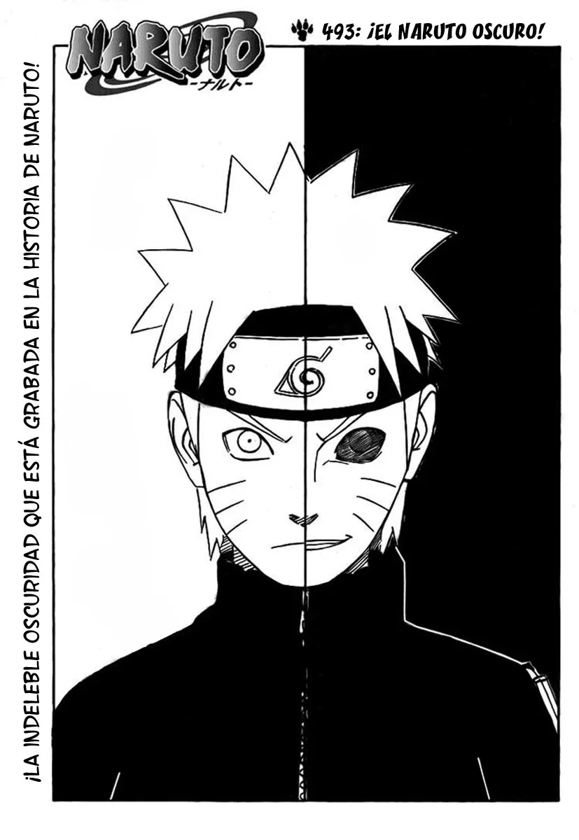 Naruto Capítulo 493 en Línea - página 1