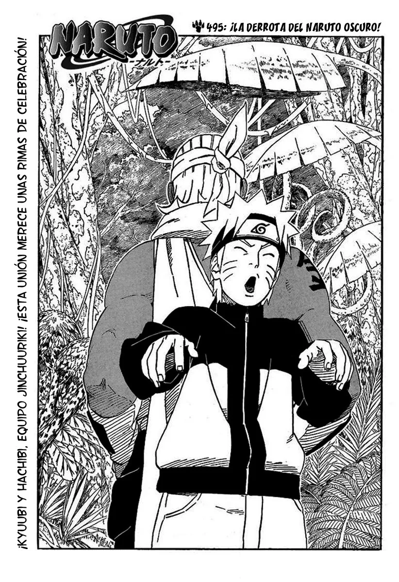 Naruto Capítulo 495 en Línea - página 1