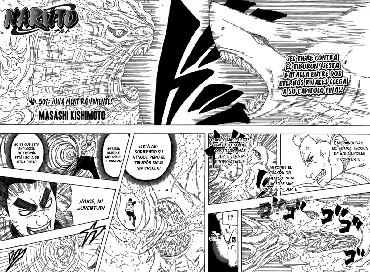 Naruto Capítulo 507 en Línea - página 1