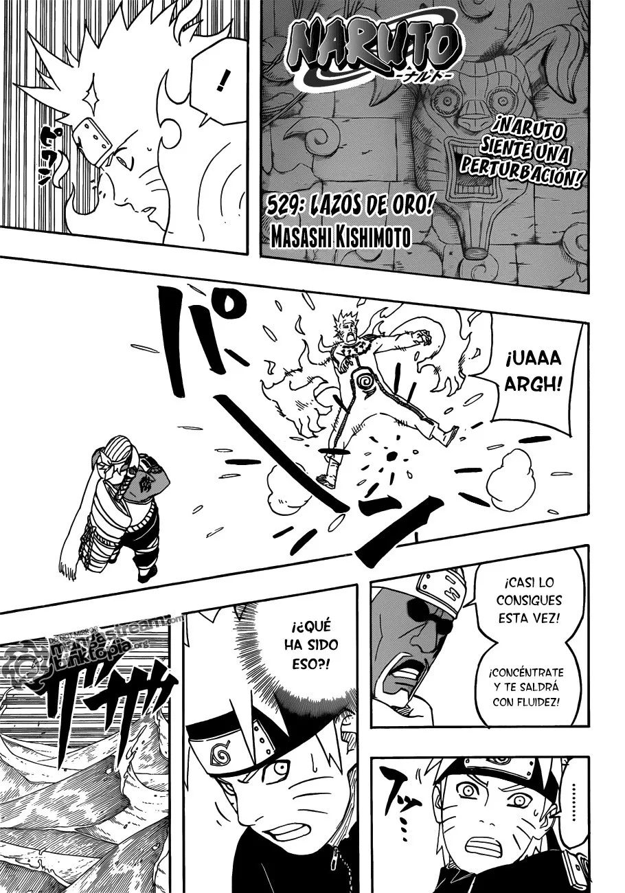 Naruto Capítulo 529 en Línea - página 1