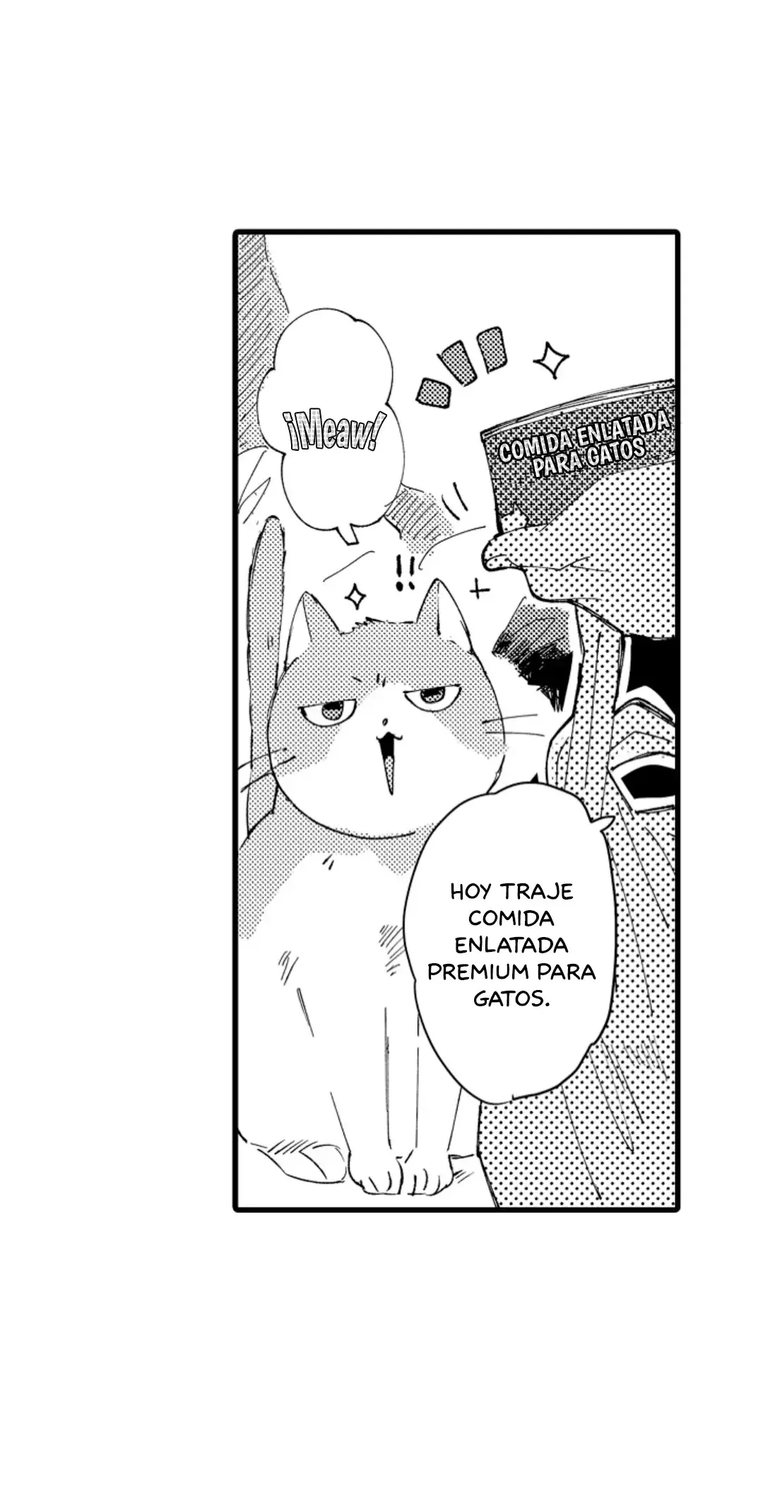 Neko no Tsuide ni Otokowo Hiroimashita Capítulo 1 en Línea - página 12