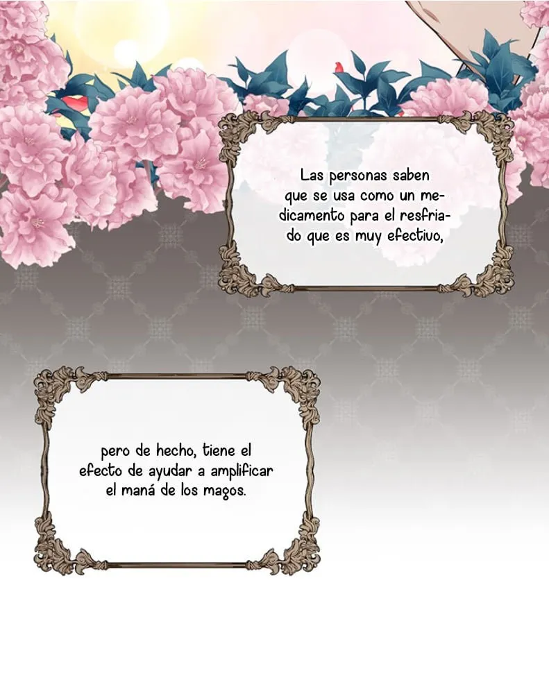 OBSESIÓNATE CONMIGO Capítulo 24 en Línea - página 66