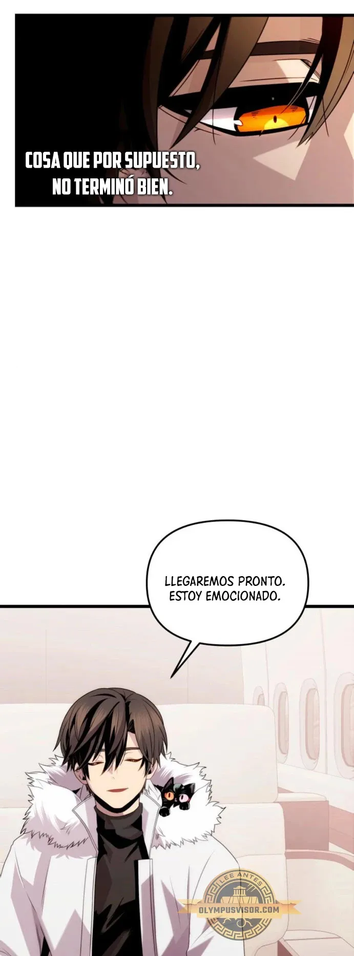 Obtuve un Objeto Mítico Capítulo 84 en Línea - página 17
