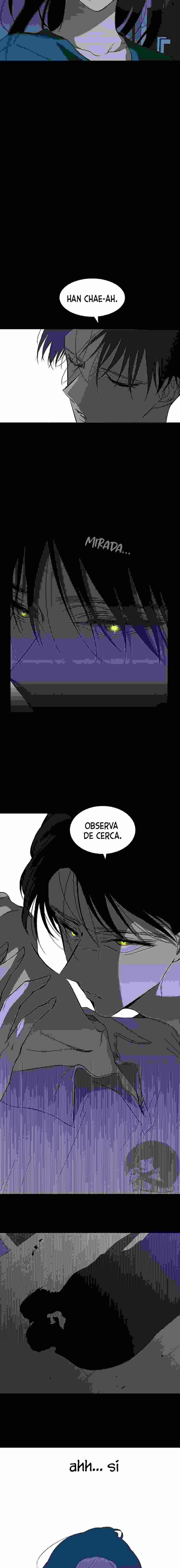 OLGAMI Capítulo 66 en Línea - página 17