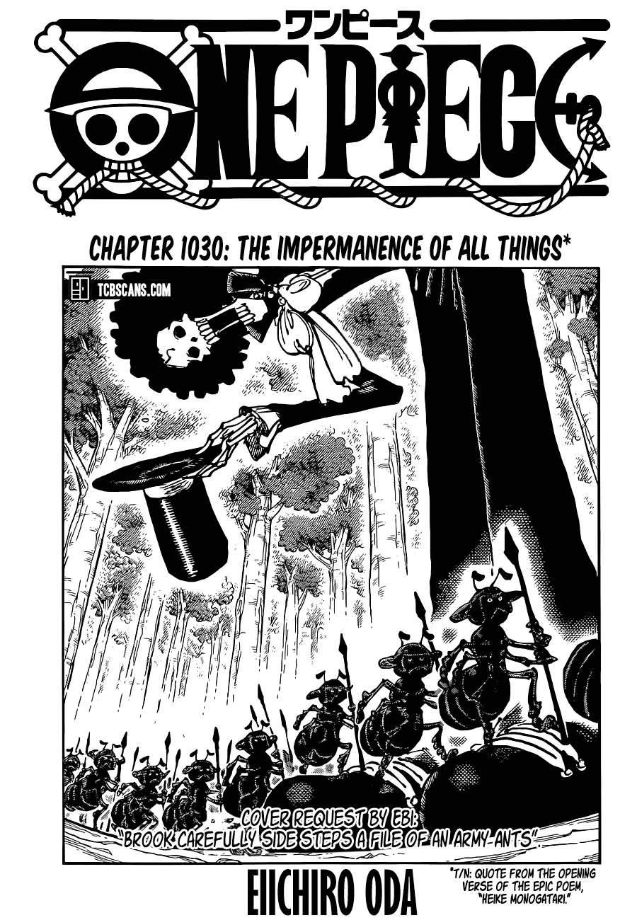One Piece Capítulo 1030 en Línea - página 1