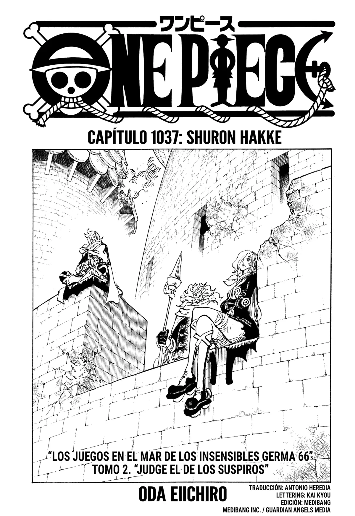 One Piece Capítulo 1037 en Línea - página 1