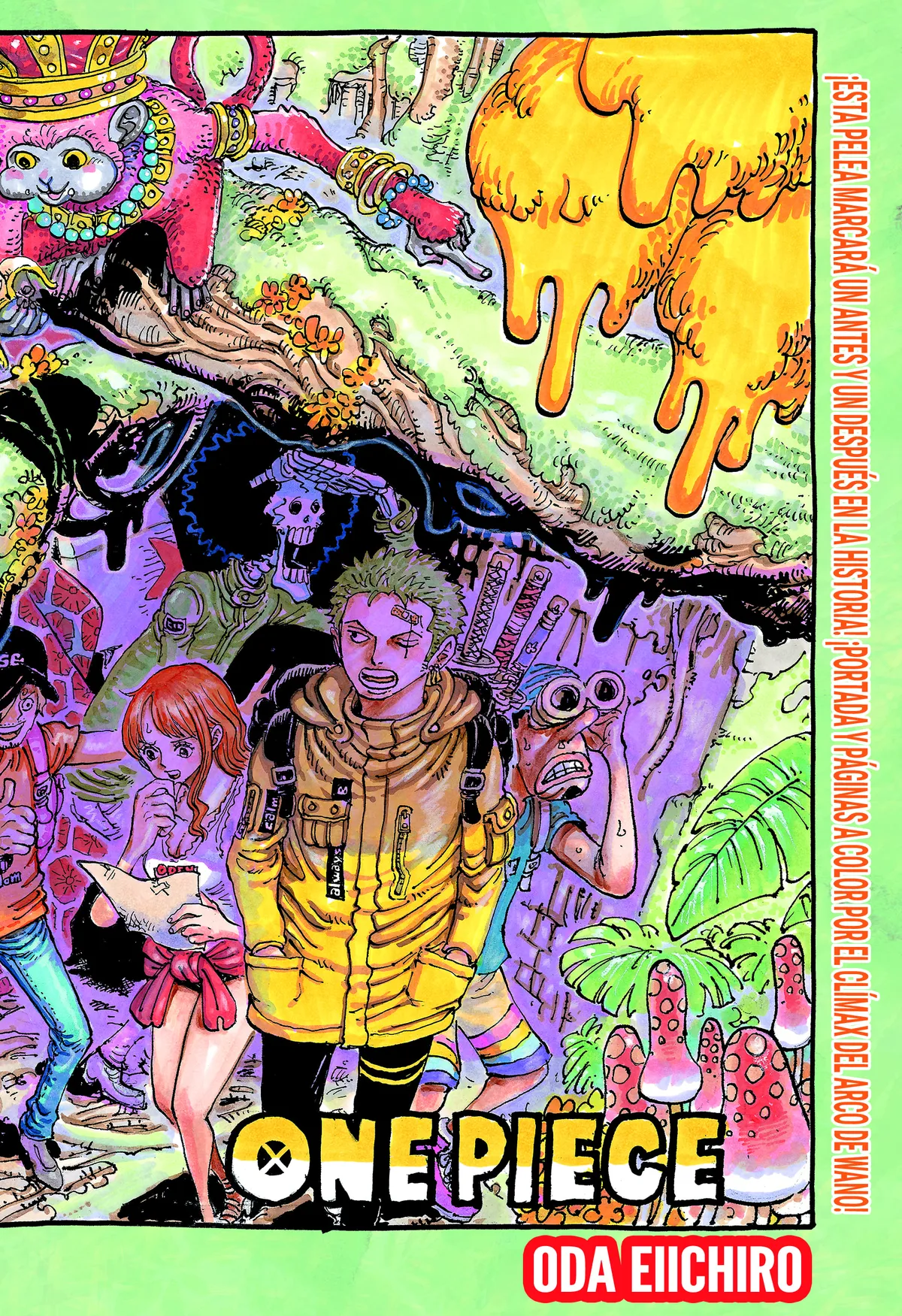 One Piece Capítulo 1039 en Línea - página 1
