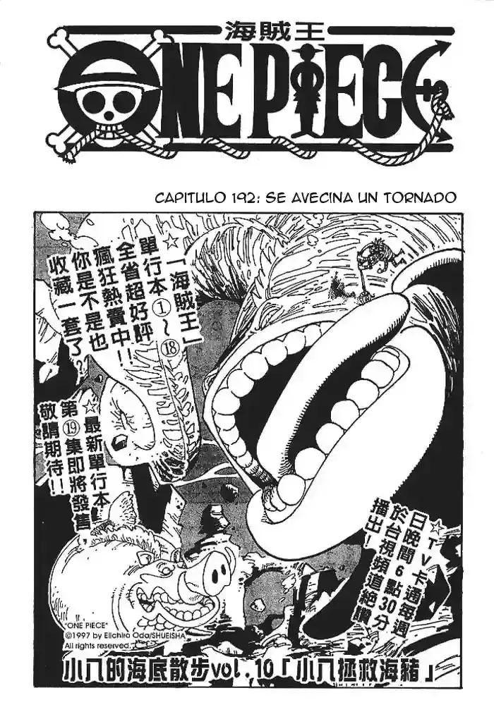 One Piece Capítulo 192 en Línea - página 1