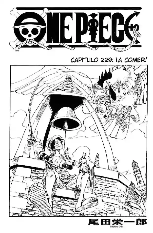 One Piece Capítulo 229 en Línea - página 1