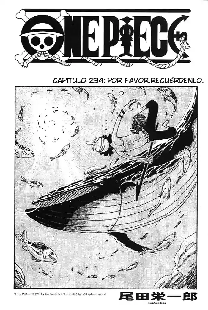 One Piece Capítulo 234 en Línea - página 1