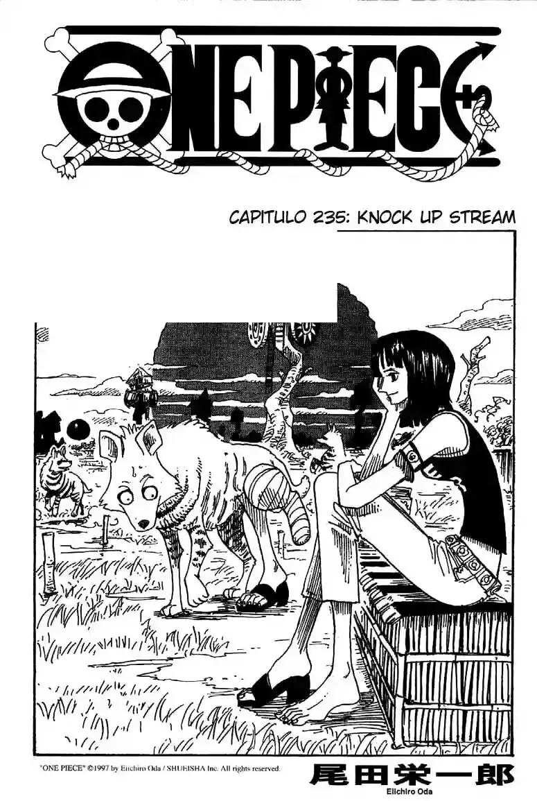 One Piece Capítulo 235 en Línea - página 1
