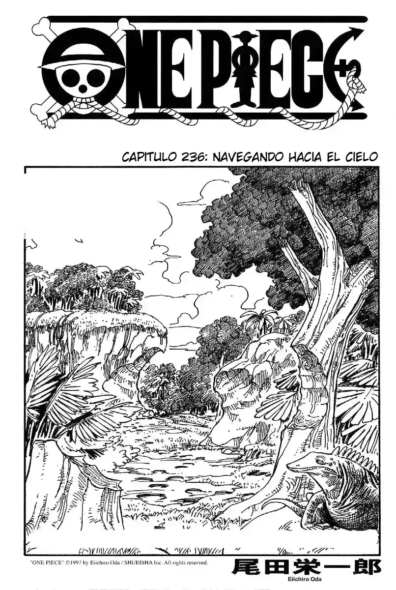 One Piece Capítulo 236 en Línea - página 1