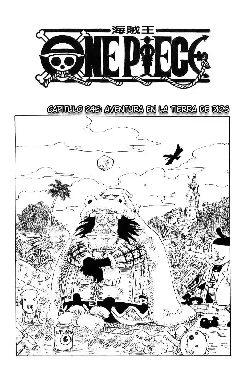 One Piece Capítulo 245 en Línea - página 1