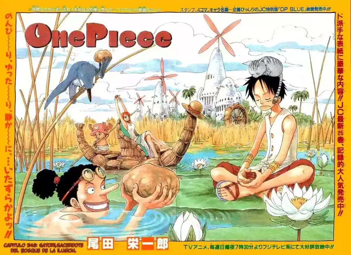 One Piece Capítulo 246 en Línea - página 1