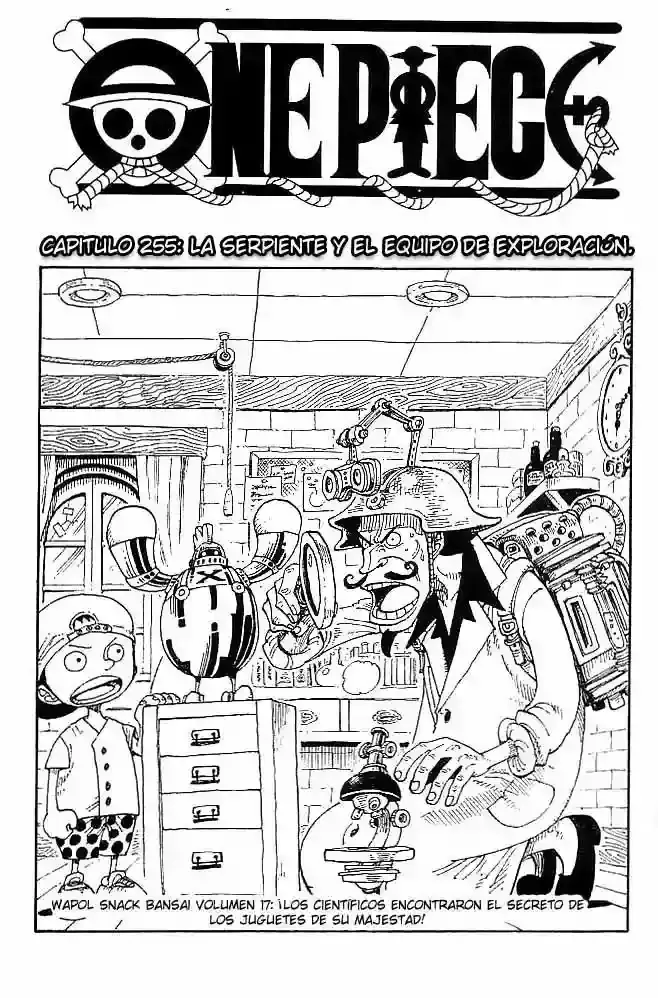One Piece Capítulo 255 en Línea - página 1