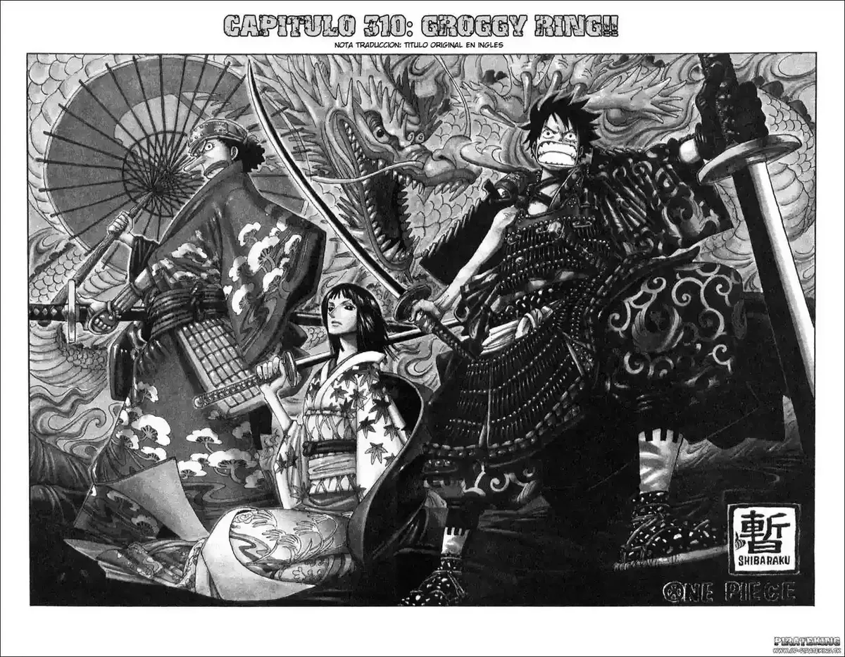 One Piece Capítulo 310 en Línea - página 1