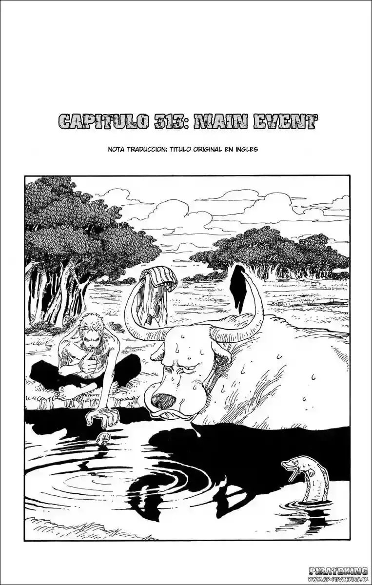 One Piece Capítulo 313 en Línea - página 1