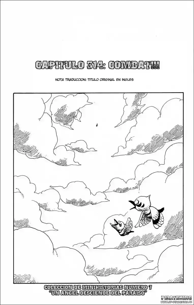 One Piece Capítulo 314 en Línea - página 1
