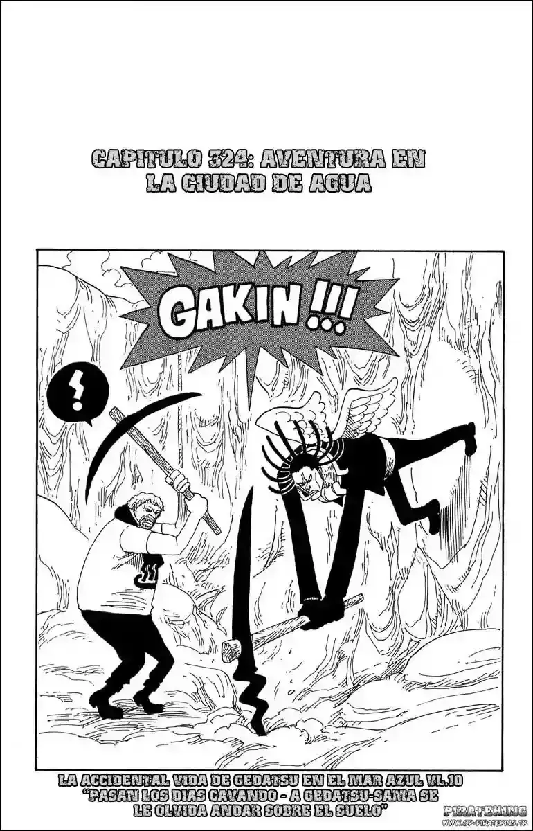 One Piece Capítulo 324 en Línea - página 1