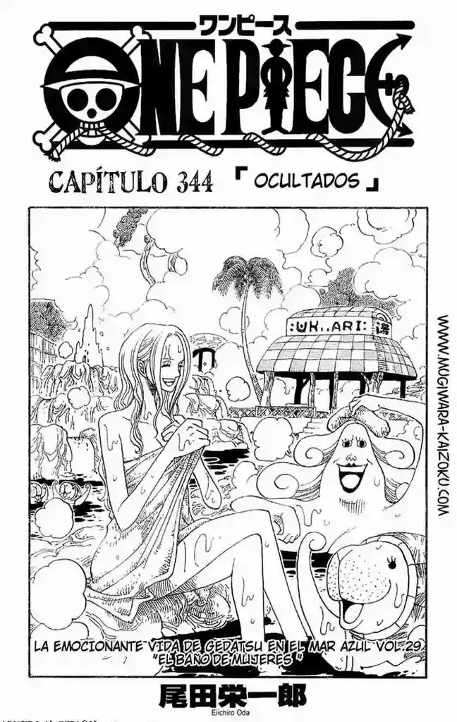 One Piece Capítulo 345 en Línea - página 1