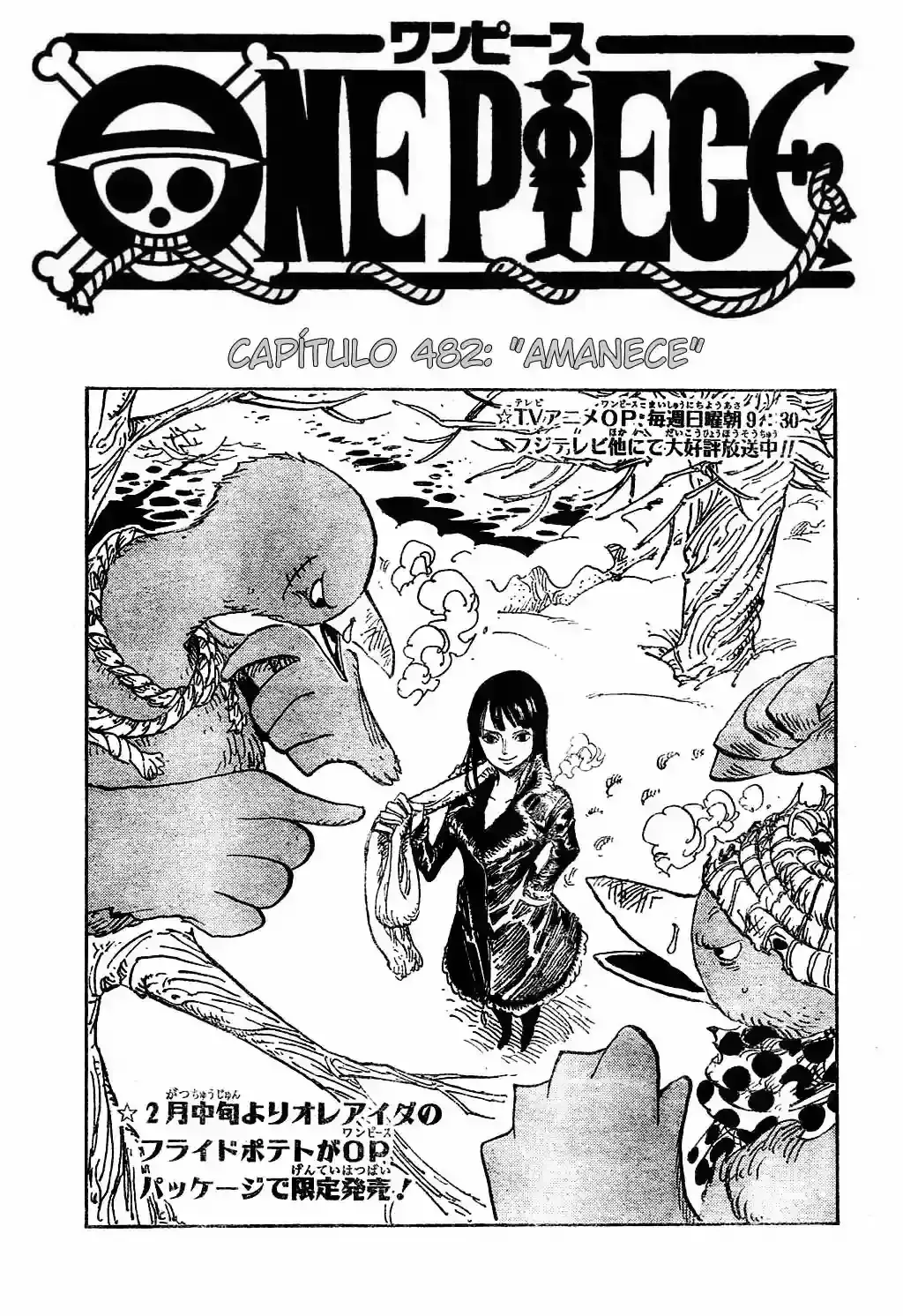 One Piece Capítulo 482 en Línea - página 1