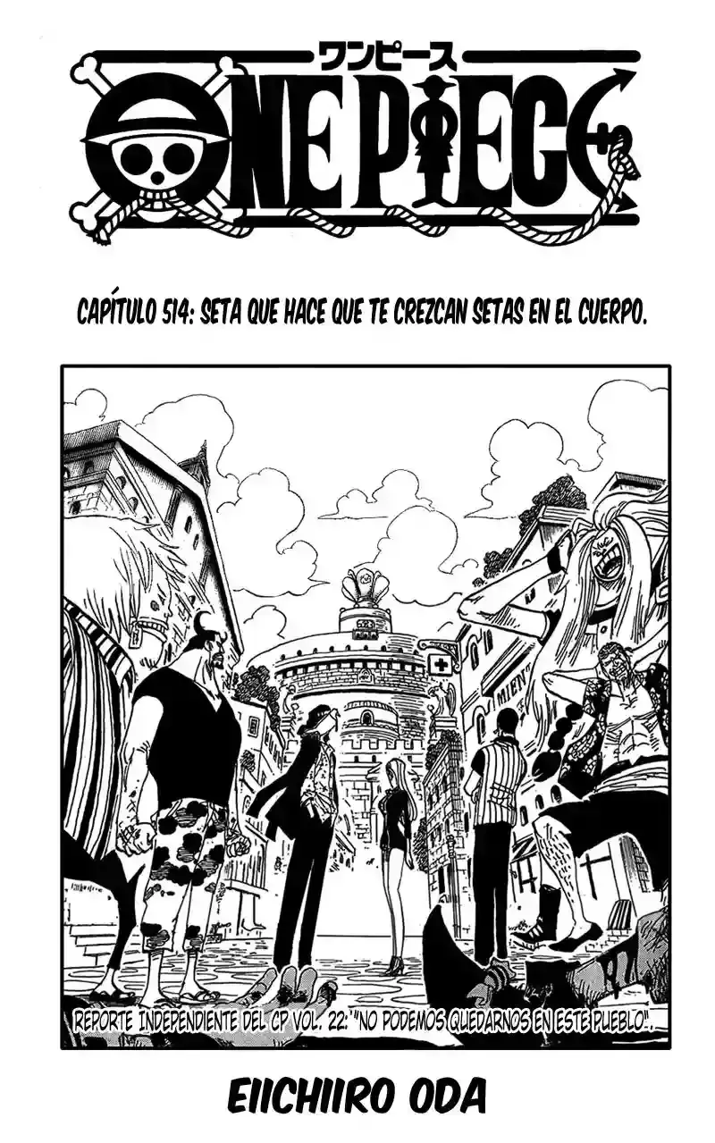 One Piece Capítulo 514 en Línea - página 1