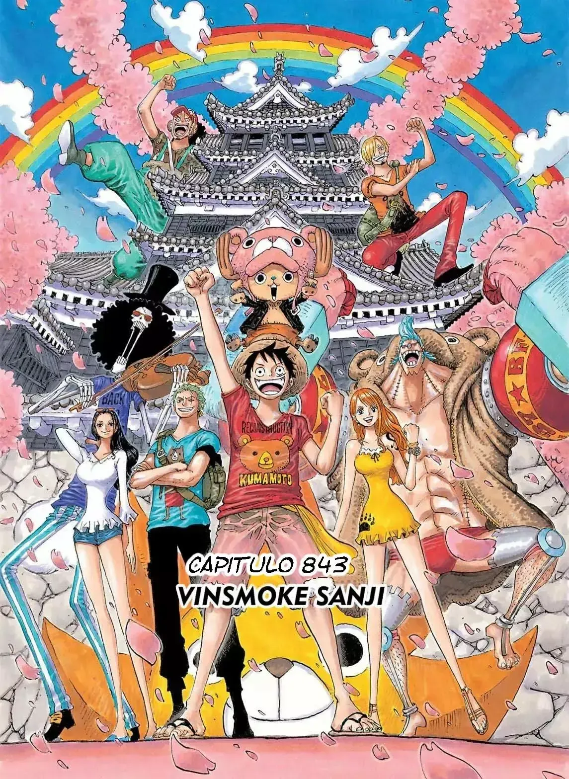 One Piece Capítulo 843.5 en Línea - página 1