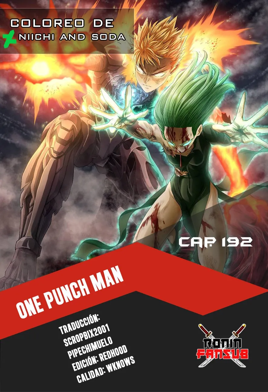 One Punch-Man Capítulo 192 en Línea - página 1