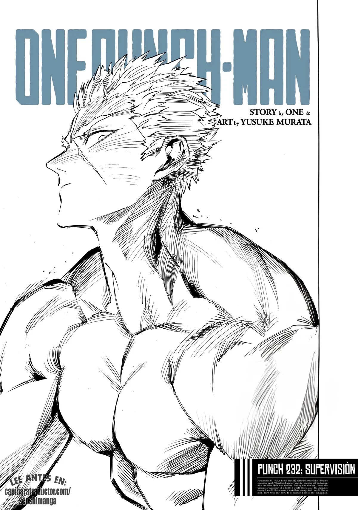 One Punch-Man Capítulo 293 en Línea - página 1