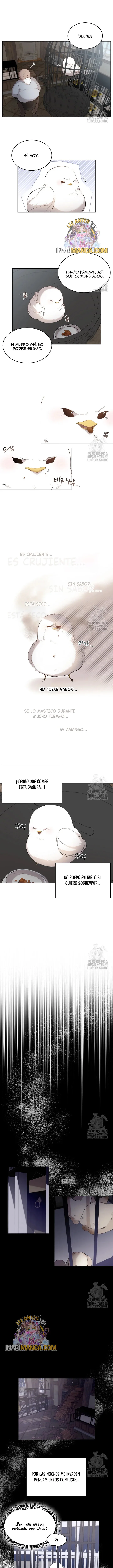 Oye, No Presiones Ese Botón BL Capítulo 2 en Línea - página 7