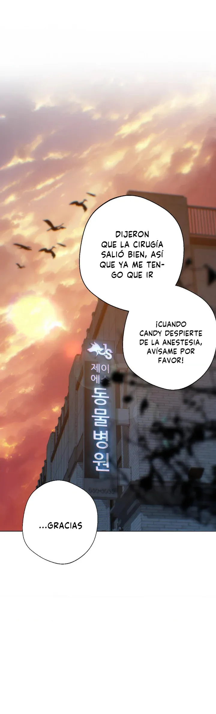 Perdido en la nube Capítulo 112 en Línea - página 19