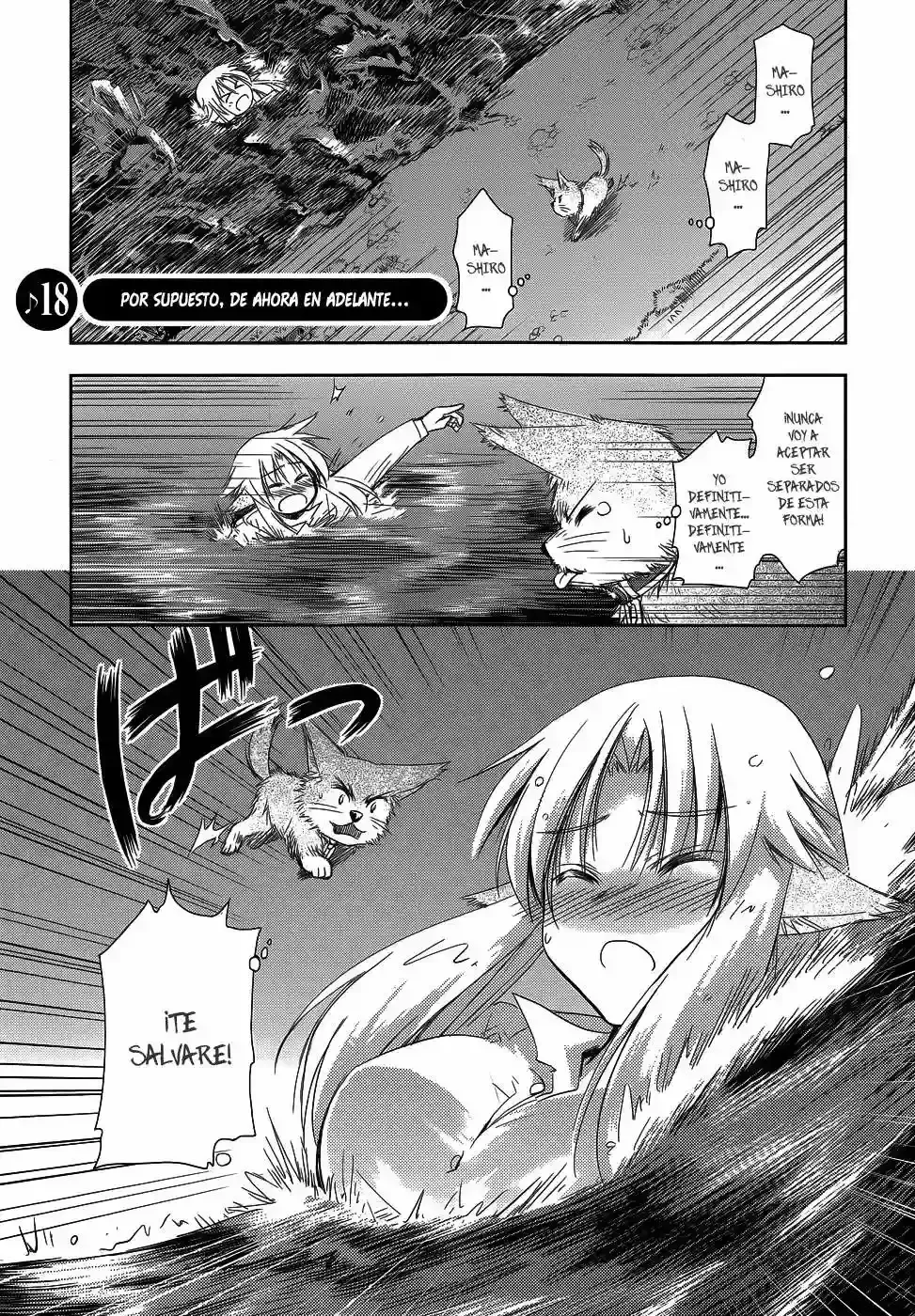 Perowan! - Hayaku Shinasai! Goshujinsama Capítulo 18 en Línea - página 1