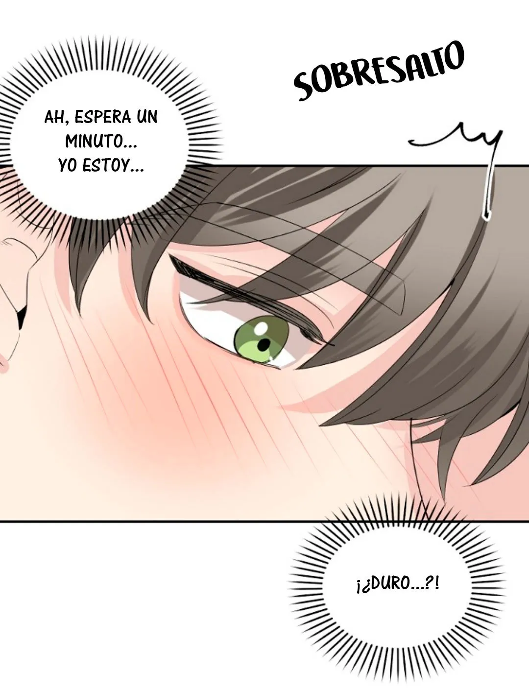 Porcentaje de Amor Capítulo 15 en Línea - página 11