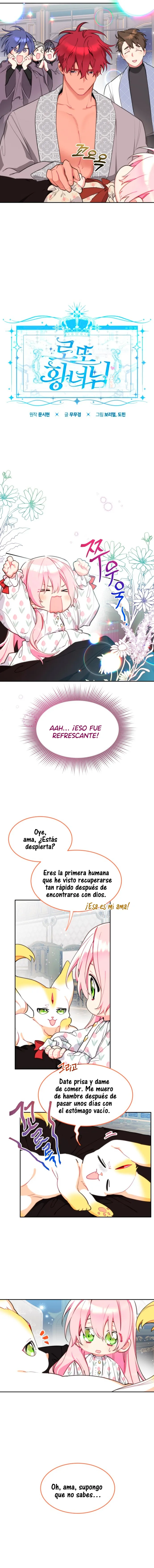 Princesa Lotto Capítulo 33 en Línea - página 7