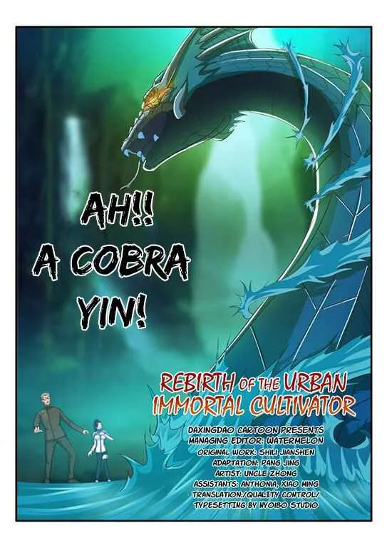 Rebirth of the Urban Immortal Cultivator Capítulo 49 Online - página 13