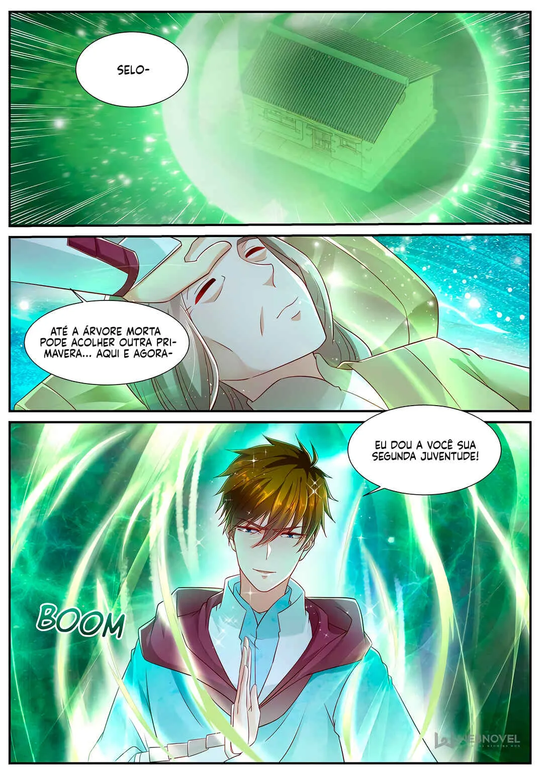 Rebirth of the Urban Immortal Cultivator Capítulo 691 Online - página 13