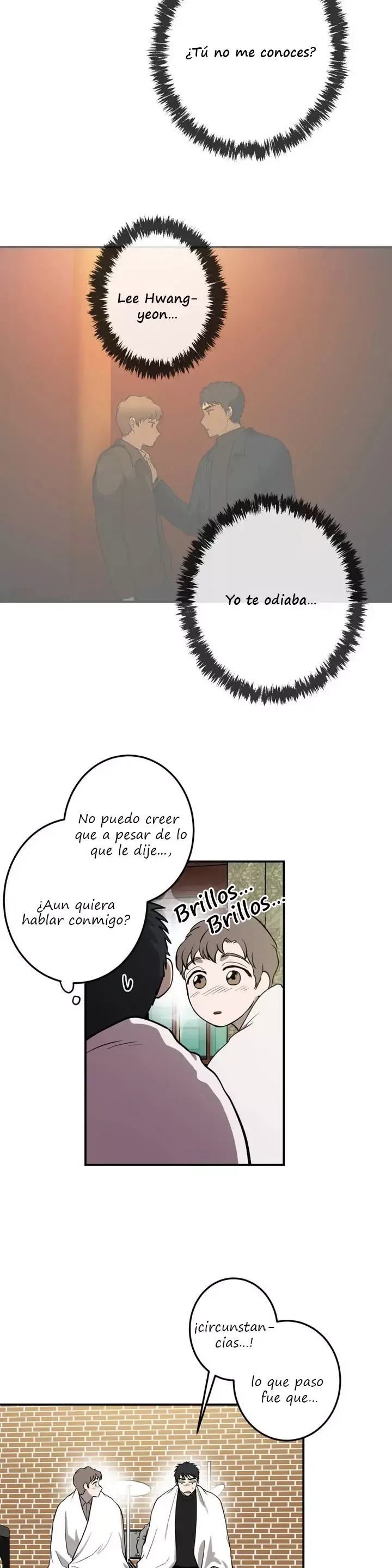Querido Chico Capítulo 51 en Línea - página 17