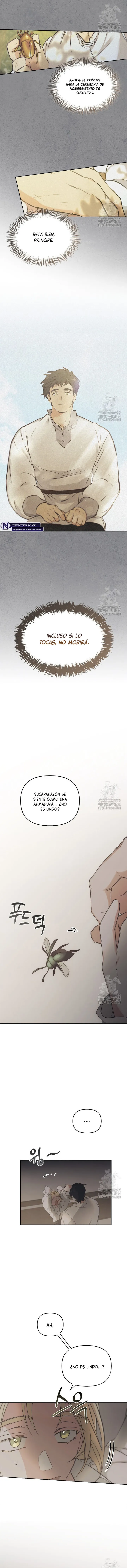 Regas Capítulo 53 en Línea - página 13