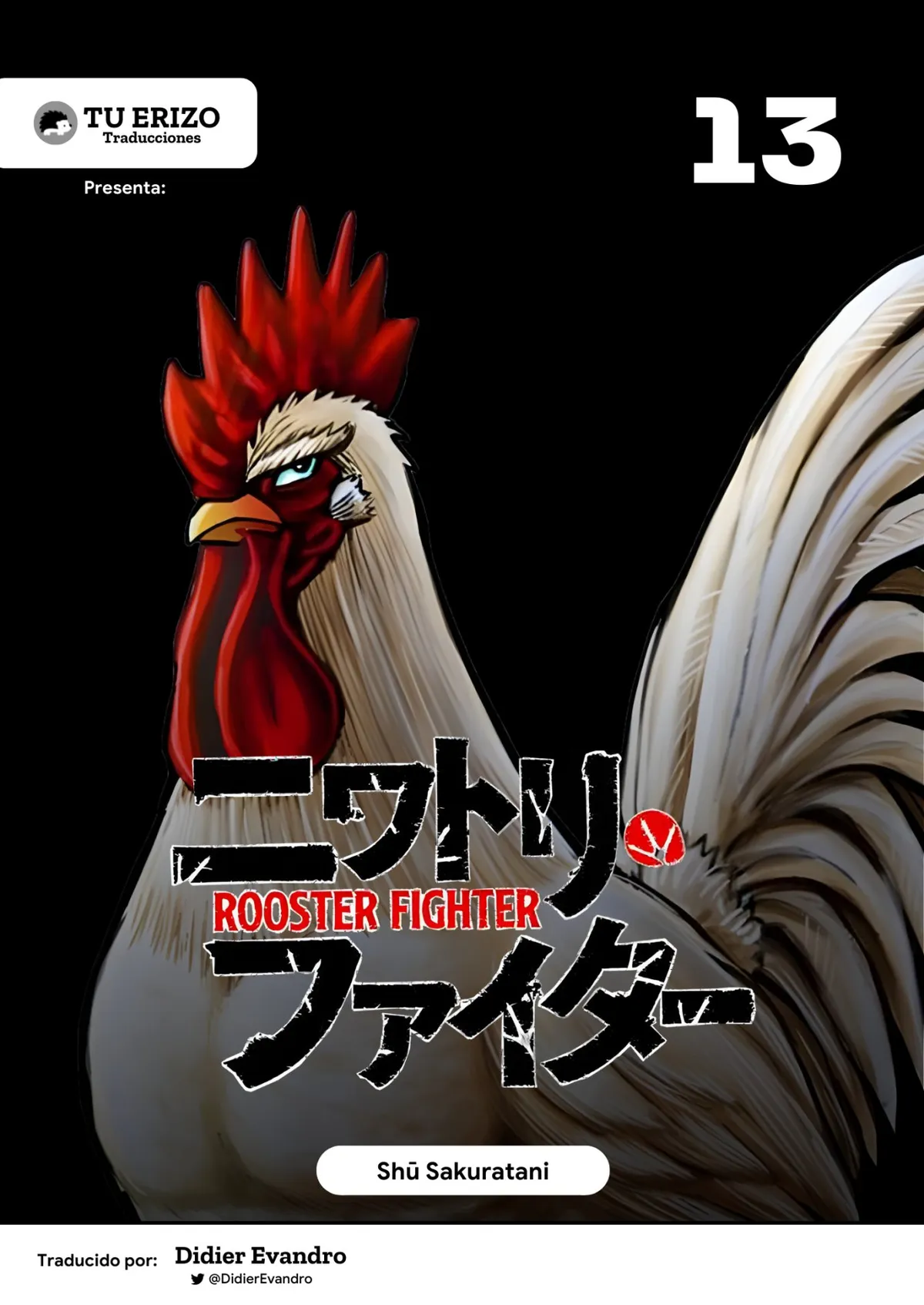 Rooster Fighter Capítulo 13 en Línea - página 1