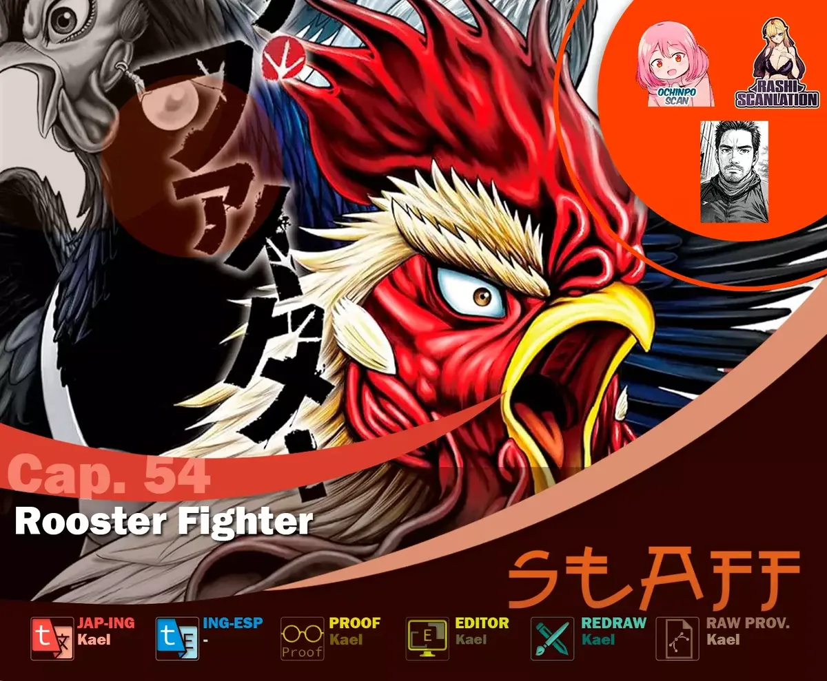 Rooster Fighter Capítulo 54 en Línea - página 1