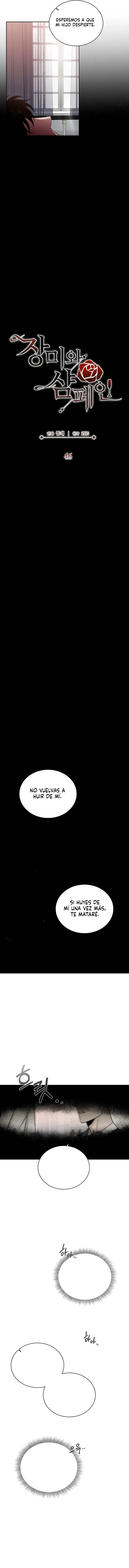 Rosas&Champaña Capítulo 46 en Línea - página 5